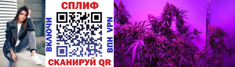 Наркошоп Фёдоровский A-PVP  МЕФ  МАРИХУАНА  АМФ  КОКАИН 