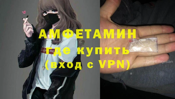 гашик Няндома