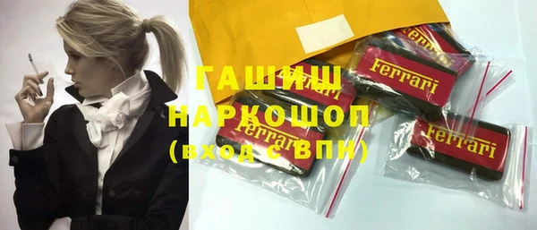 гашик Няндома