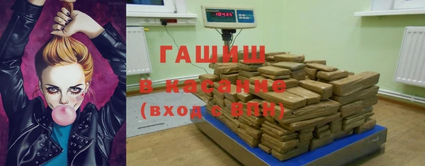 гашик Няндома