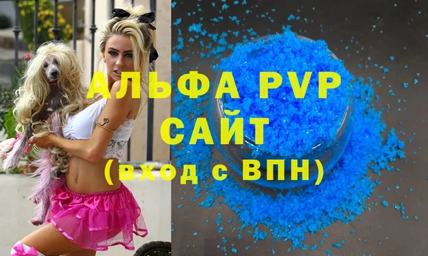 гашик Няндома