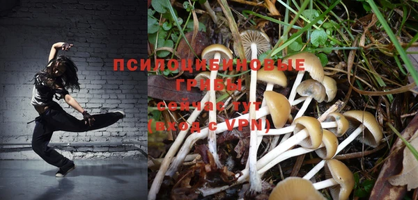 прущая мука Нязепетровск
