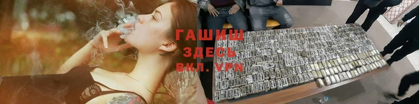 гашик Няндома