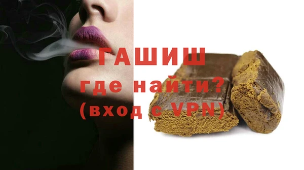 гашик Няндома