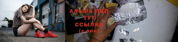 гашик Няндома