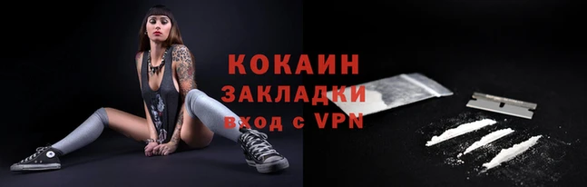 гашик Няндома