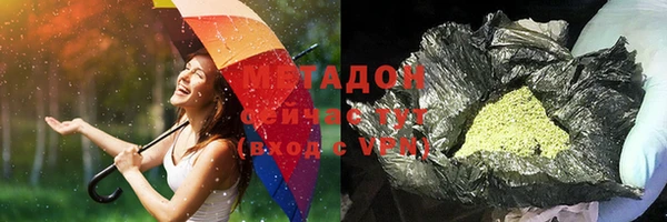 гашик Няндома
