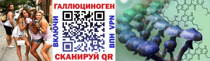 Галлюциногенные грибы GOLDEN TEACHER  МЕГА tor  Фёдоровский 